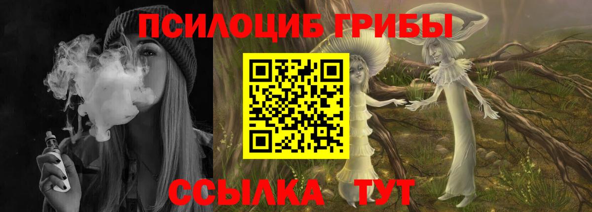 Галлюциногенные грибы мицелий  Вход с VPN  Псилоцибиновые грибы прущие грибы  Лениногорск 